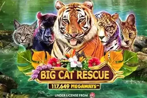 Big Cat Rescue Megaways